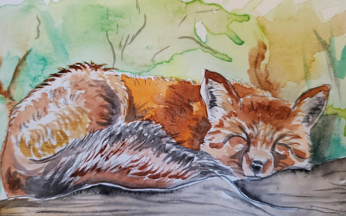 Sleepy Fox