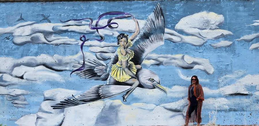 Vaudeville on the wing of a Ring Billed Gull, Railroad Ave, Elmira NY