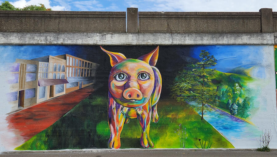 Paddy's Pig, Railroad Ave, Elmira NY